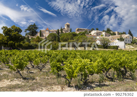 Typical vineyard near Vinsobres, Cotes du Rhone, France 90276302