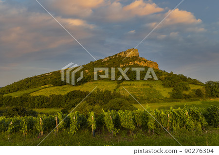 Rock of Solutre with vineyards, Burgundy, Solutre-Pouilly, France Rock of Solutre with vineyards, Burgundy, Solutre-Pouilly, France 90276304