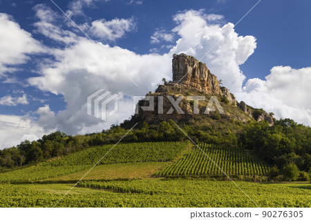 Rock of Solutre with vineyards, Burgundy, Solutre-Pouilly, France Rock of Solutre with vineyards, Burgundy, Solutre-Pouilly, France 90276305