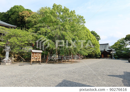 A landscape of the precincts of Omi Jingu Shrine in Otsu City, Shiga Prefecture 90276616