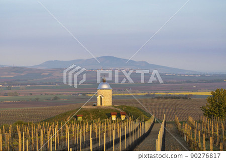 Vineyards near Velke Bilovice with Palava in Southern Moravia, Czech Republic Vineyards near Velke Bilovice with Palava in Southern Moravia, Czech Republic 90276817