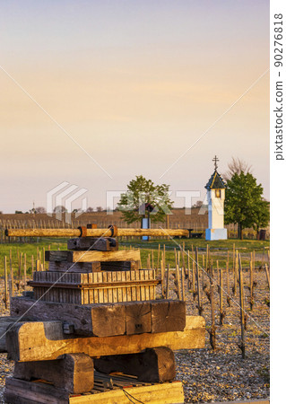 Vineyards near Velke Bilovice in Southern Moravia, Czech Republic 90276818