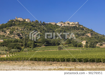 Tuscany's most famous vineyards near town Montalcino in Italy Tuscany's most famous vineyards near town Montalcino in Italy 90276951