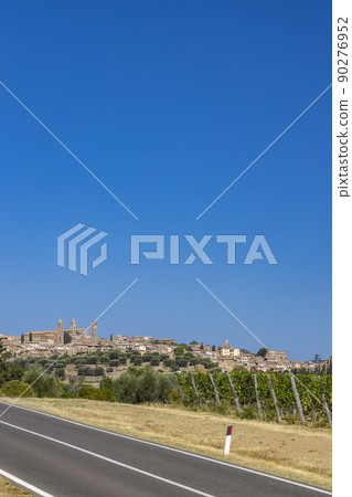 Tuscany's most famous vineyards near town Montalcino in Italy Tuscany's most famous vineyards near town Montalcino in Italy 90276952
