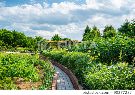 信州天空公園玫瑰園 90277282