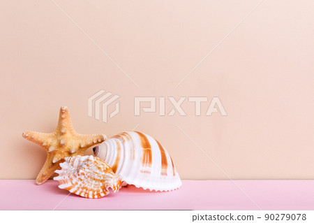 Beach seashells on colored background. Mock up with copy space 90279078