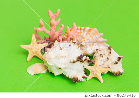 Beach seashells on colored background. Mock up with copy space Beach seashells on colored background. Mock up with copy space 90279416