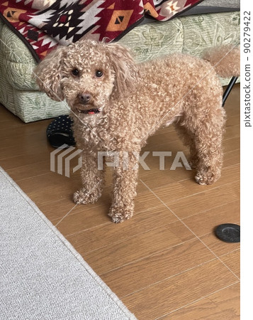 What should i do? What should i do? 90279422