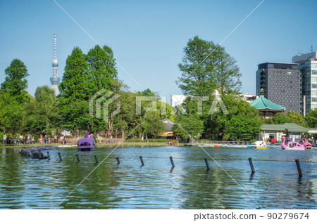在上野恩賜公園的不忍池中可以看到天鵝船和東京晴空塔的風景 90279674
