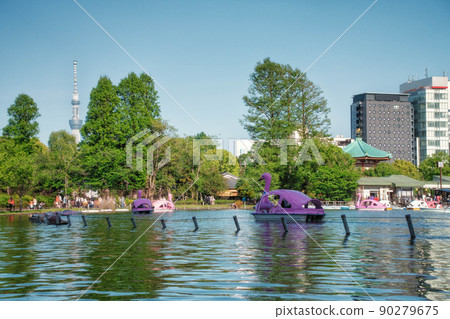 在上野恩賜公園的不忍池中可以看到天鵝船和東京晴空塔的風景 在上野恩賜公園的不忍池中可以看到天鵝船和東京晴空塔的風景 90279675
