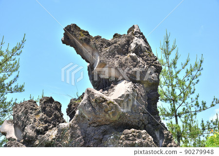 鹿兒島櫻島浣熊岩 90279948