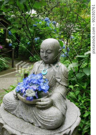 鎌倉Akitsukinin的繡球花 鎌倉Akitsukinin的繡球花 90280761