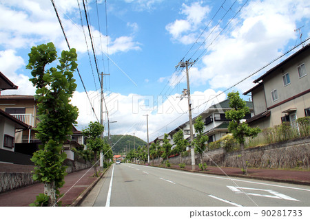 尼賽新城 90281733