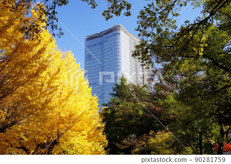 Hibiya in the autumn leaves season in Tokyo 90281759