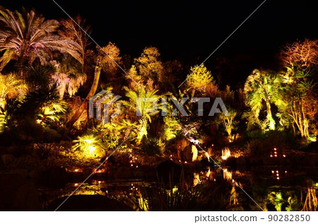 高知莫奈的花園 高知莫奈的花園 90282850