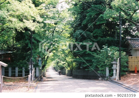 Entrance of early summer 90283359