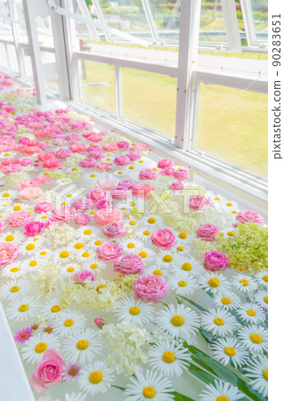 漂浮在東山動植物園溫室前樓的浮花<愛知縣名古屋市> 90283651