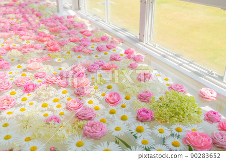 漂浮在東山動植物園溫室前樓的浮花<愛知縣名古屋市> 90283652