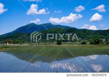 早春山 早春山 90284079