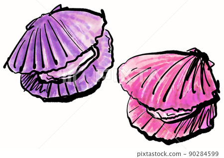 《貴族扇貝》手寫插圖（水墨畫風） 90284599