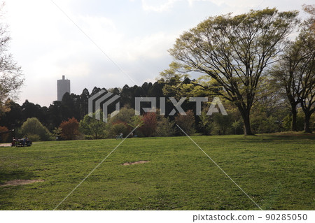 A park with a vast lawn A park with a vast lawn 90285050