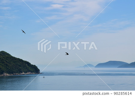 Swallows flying in the Kaminoseki Strait Yamaguchi 90285614