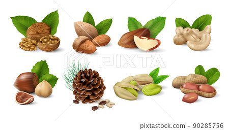 Set of Nuts with Green Leaves. Nuts and seeds collection. Realistic design vector illustration Set of Nuts with Green Leaves. Nuts and seeds collection. Realistic design vector illustration 90285756