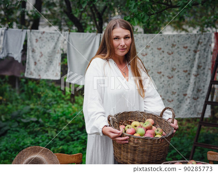 middle-aged woman picks apples in the garden. middle-aged woman picks apples in the garden. 90285773