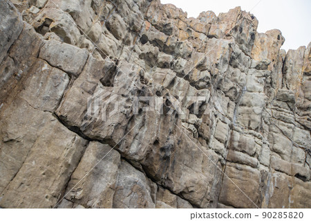 Fukui Prefecture Tojinbo cliff 90285820