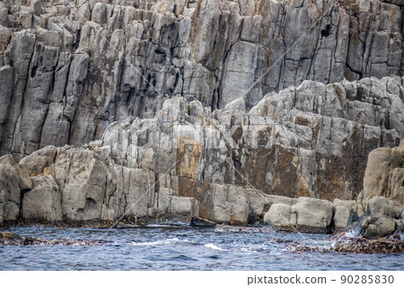 福井縣東尋坊斷崖 福井縣東尋坊斷崖 90285830