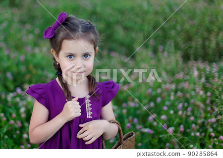 A cute little girl in a meadow on a summer day collects a bouquet of purple clover. Walking with children 90285864