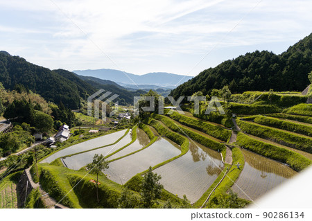 Scenery of terraced rice fields in Asuka Murakami district, Nara prefecture 90286134