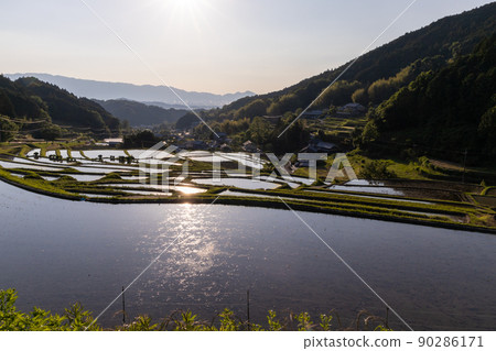 Scenery of terraced rice fields in Asuka Murakami district, Nara prefecture, where rice has been planted 90286171
