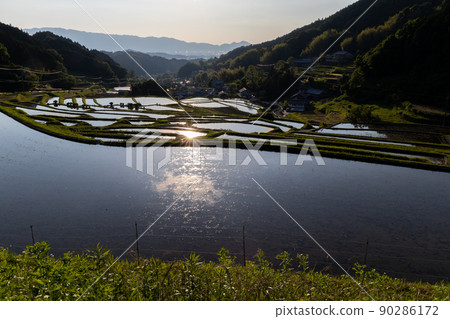 Scenery of terraced rice fields in Asuka Murakami district, Nara prefecture, where rice has been planted 90286172