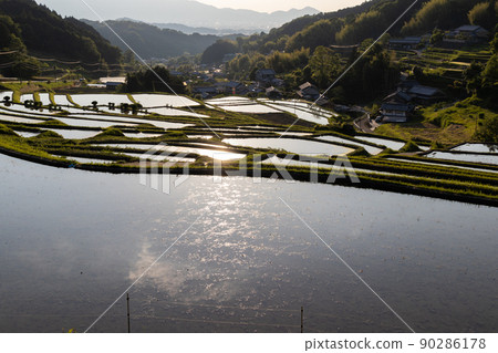 Scenery of terraced rice fields in Asuka Murakami district, Nara prefecture 90286178