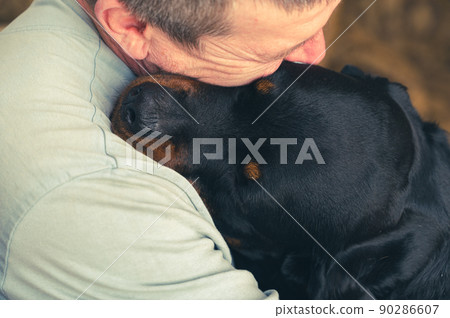 Adult Male is cuddling a large black dog. An adult female Rottweiler dog puts her head on her owner's shoulder. Adult Male is cuddling a large black dog. An adult female Rottweiler dog puts her head on her owner's shoulder. 90286607