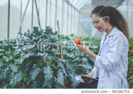 Agriculture plant science technology research and development concept. 90286752