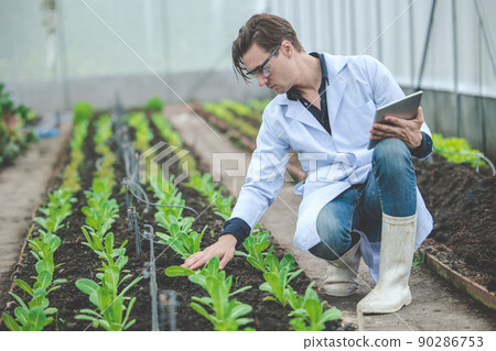 Agriculture plant science technology research and development concept. 90286753
