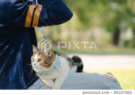asian woman feel happy during relax and play with her cat at park asian woman feel happy during relax and play with her cat at park 90287068