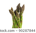 Vegetarian fresh green asparagus. vegetable isolated on white. 90287844