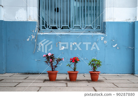 flowers in flowerpot in front of the blue facade of the building flowers in flowerpot in front of the blue facade of the building 90287880