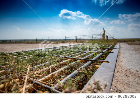 Metal cattle crossing ground gate with weeds growing between 90288002