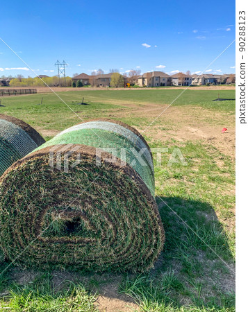 Roll of sod ready for installation at a construction site 90288123