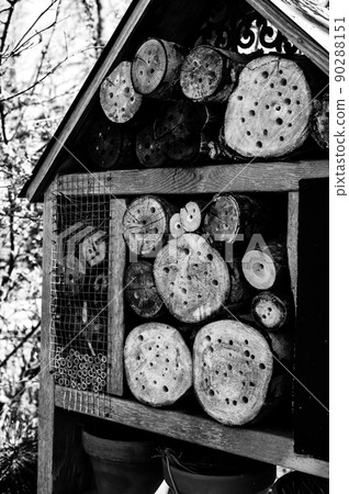 Bee and wasp habitat structure with drilled holes for insects to hibernate and nest in. Bee and wasp habitat structure with drilled holes for insects to hibernate and nest in. 90288151
