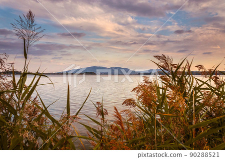 The Palava Protected Landscape Area, Czech Republic. Lake with grass in the foreground, on the horizon the Pavlov hills 90288521