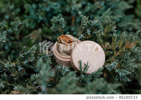 Two wedding rings in green fir branches Two wedding rings in green fir branches 90288533