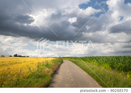 a path in the landscape - a road leading to the horizon between two fields a path in the landscape - a road leading to the horizon between two fields 90288570