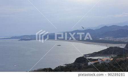 Birds flying with the beach Birds flying with the beach 90289281