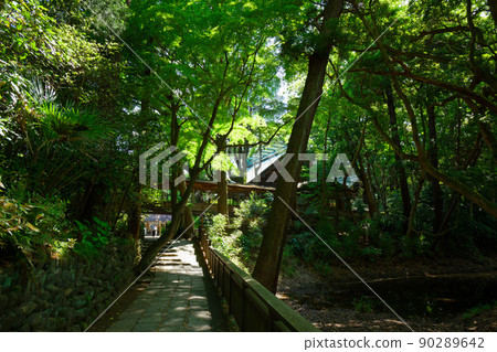 Hotoku Ninomiya Shrine approach to the precincts Hotoku Ninomiya Shrine approach to the precincts 90289642