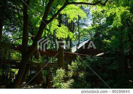 Hotoku Ninomiya Shrine approach to the precincts 90289643